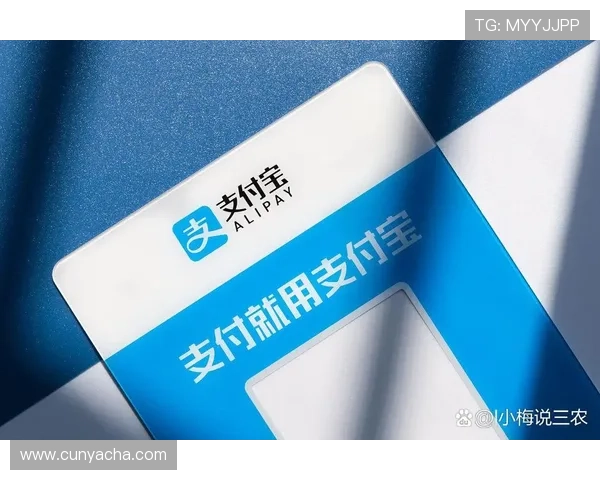 亚星平台网页版充值支付方式介绍，安全便捷的充值体验全攻略